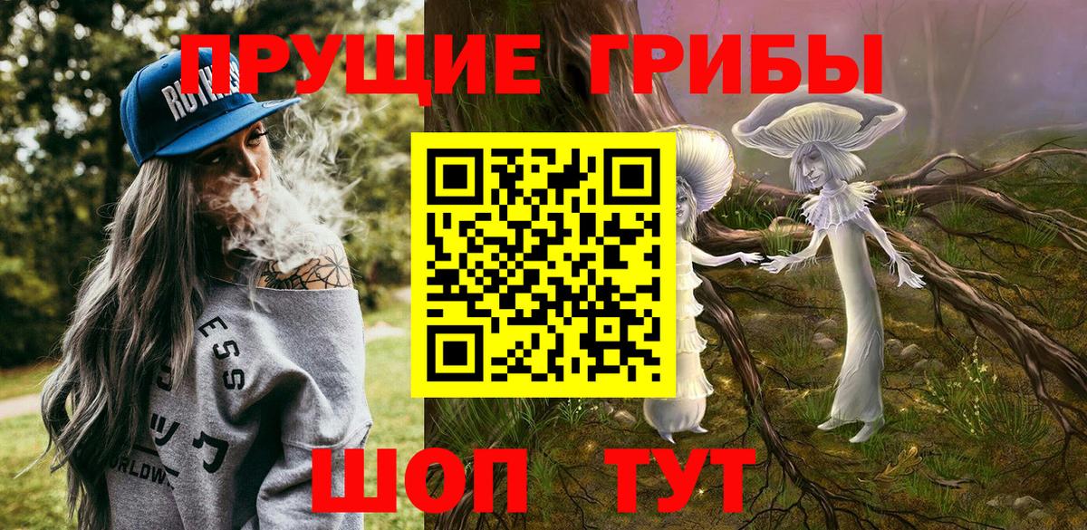 Псилоцибиновые грибы ЛСД  Вход с VPN  Псилоцибиновые грибы прущие грибы  Железноводск 